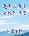 龙傲天男主是我的老婆